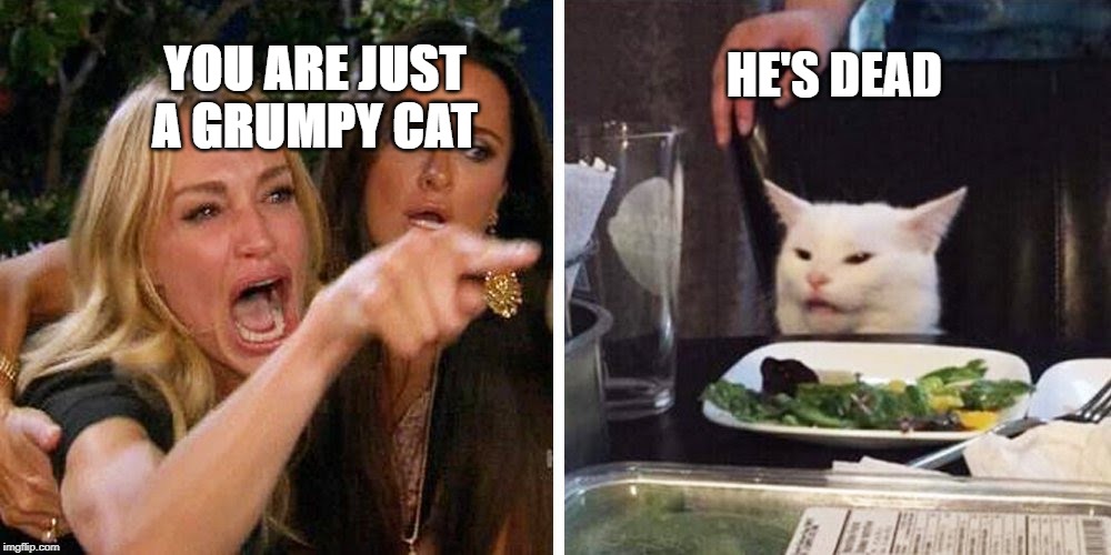 Smudge the cat | HE'S DEAD; YOU ARE JUST A GRUMPY CAT | image tagged in smudge the cat,AdviceAnimals | made w/ Imgflip meme maker