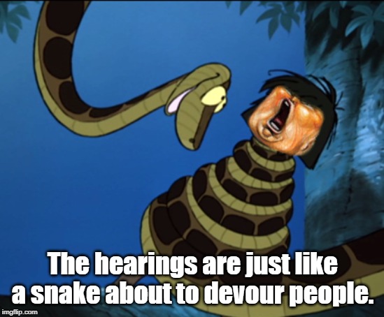 The hearings | The hearings are just like a snake about to devour people. | image tagged in politics | made w/ Imgflip meme maker