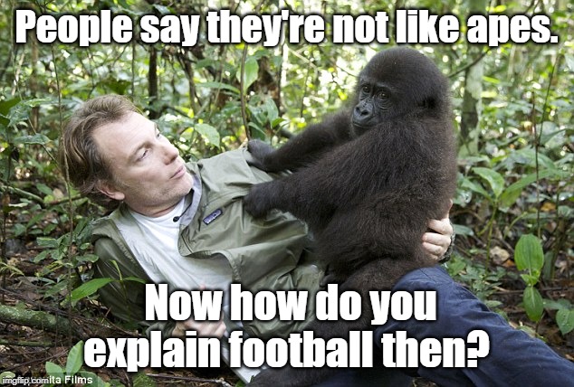 Explanation of football | People say they're not like apes. Now how do you explain football then? | image tagged in football | made w/ Imgflip meme maker