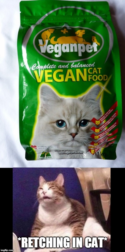 Animal abuse, that's what it is. | *RETCHING IN CAT* | image tagged in cat,vegan,food | made w/ Imgflip meme maker