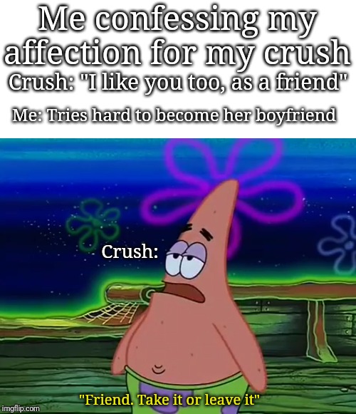 Ha, I won, but at what cost? | Me confessing my affection for my crush; Crush: "I like you too, as a friend"; Me: Tries hard to become her boyfriend; Crush:; "Friend. Take it or leave it" | image tagged in patrick star take it or leave | made w/ Imgflip meme maker