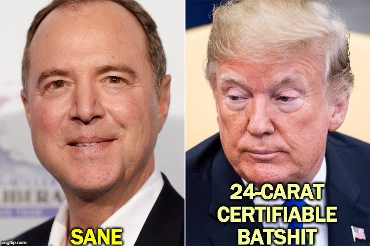 24-CARAT CERTIFIABLE BATSHIT; SANE | image tagged in trump,crazy,batshit,insane,nuts,certifiable | made w/ Imgflip meme maker