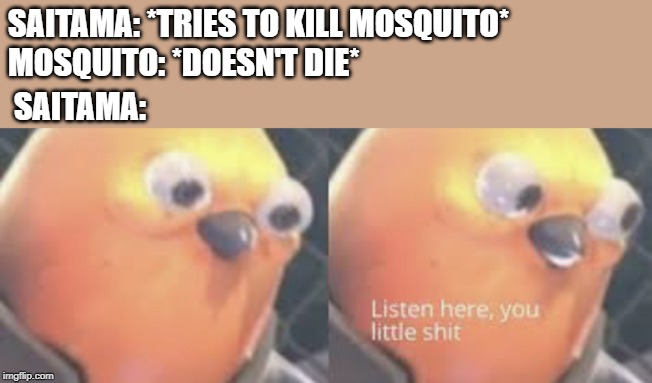 The one thing One Punch Man can't kill | SAITAMA: *TRIES TO KILL MOSQUITO*
MOSQUITO: *DOESN'T DIE*; SAITAMA: | image tagged in listen here you little shit bird,saitama,onepunchman | made w/ Imgflip meme maker