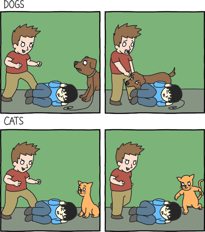 Dogs and Cats Blank Meme Template