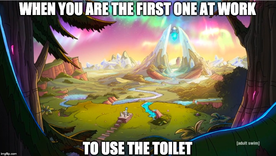 Toilet use | WHEN YOU ARE THE FIRST ONE AT WORK; TO USE THE TOILET | image tagged in rick and morty,season4,toilet,work,shit,first | made w/ Imgflip meme maker