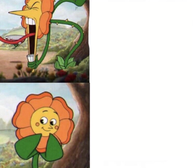High Quality cagney carnation Blank Meme Template