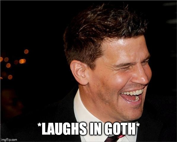 How else would David laugh? | *LAUGHS IN GOTH* | image tagged in laughing david boreanaz,memes,goth memes | made w/ Imgflip meme maker