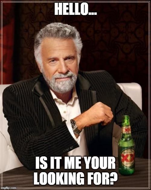 The Most Interesting Man In The World Meme | HELLO... IS IT ME YOUR LOOKING FOR? | image tagged in memes,the most interesting man in the world | made w/ Imgflip meme maker