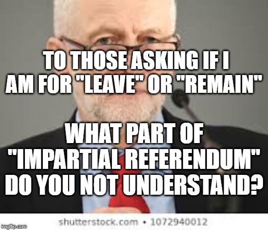 Impartial Referendum | TO THOSE ASKING IF I AM FOR "LEAVE" OR "REMAIN"; WHAT PART OF "IMPARTIAL REFERENDUM" DO YOU NOT UNDERSTAND? | image tagged in brexit,refereendum,peoples vote,leave,remain | made w/ Imgflip meme maker