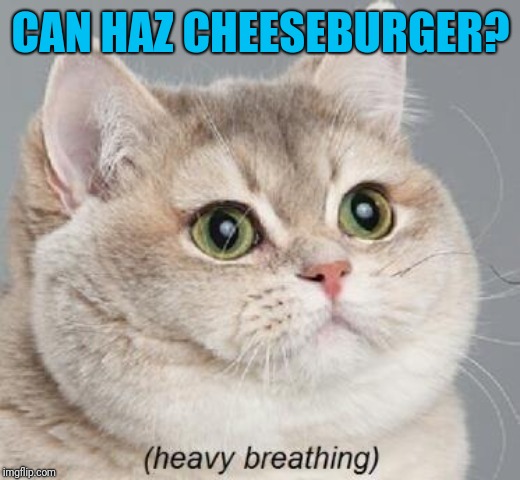 Heavy Breathing Cat Meme | CAN HAZ CHEESEBURGER? | image tagged in memes,heavy breathing cat | made w/ Imgflip meme maker