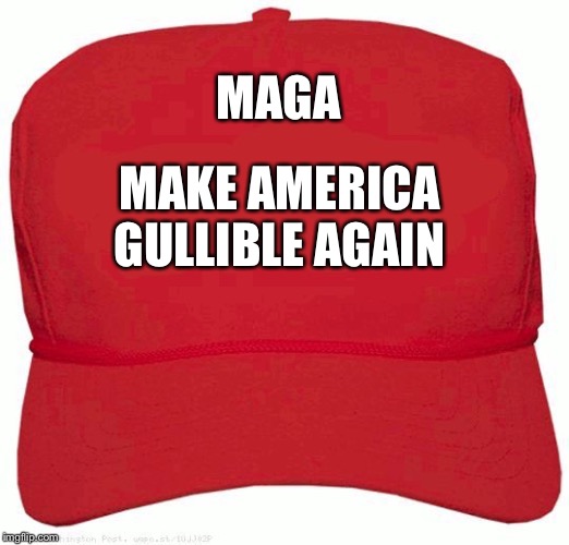 Red Hat | MAGA MAKE AMERICA GULLIBLE AGAIN | image tagged in red hat | made w/ Imgflip meme maker