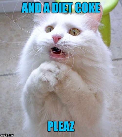 I Can Haz | AND A DIET COKE PLEAZ | image tagged in i can haz | made w/ Imgflip meme maker