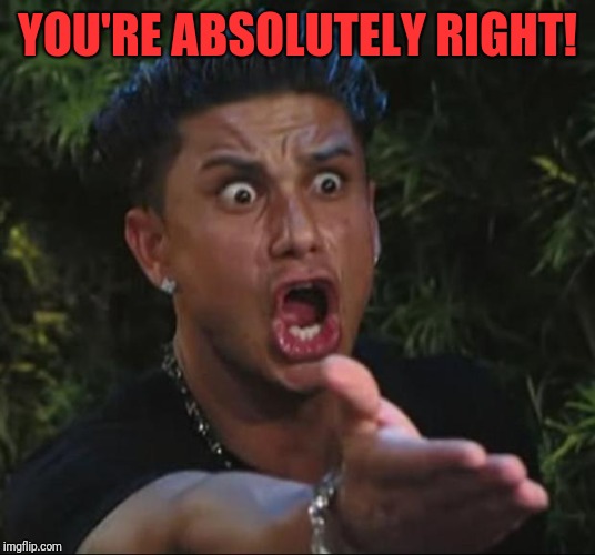 DJ Pauly D Meme | YOU'RE ABSOLUTELY RIGHT! | image tagged in memes,dj pauly d | made w/ Imgflip meme maker