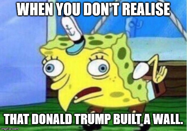 Mocking Spongebob Meme | WHEN YOU DON'T REALISE; THAT DONALD TRUMP BUILT A WALL. | image tagged in memes,mocking spongebob | made w/ Imgflip meme maker