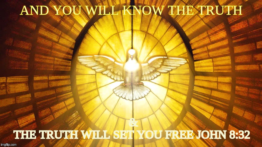 AND YOU WILL KNOW THE TRUTH; &
THE TRUTH WILL SET YOU FREE JOHN 8:32 | image tagged in the great awakening | made w/ Imgflip meme maker