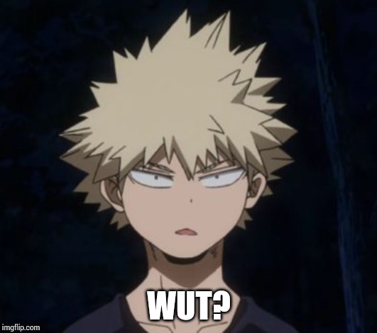 Bakugo's Huh? | WUT? | image tagged in bakugo's huh | made w/ Imgflip meme maker