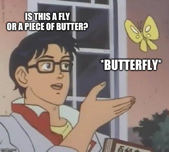 Is This A Pigeon | IS THIS A FLY OR A PIECE OF BUTTER? *BUTTERFLY* | image tagged in memes,is this a pigeon | made w/ Imgflip meme maker