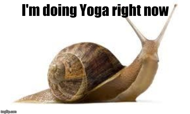 SNAIL | I'm doing Yoga right now | image tagged in snail | made w/ Imgflip meme maker