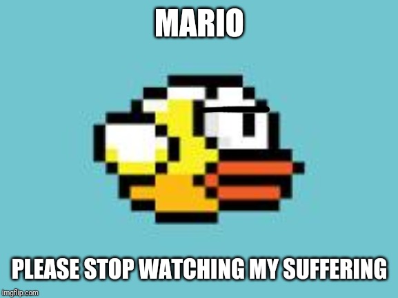 flappy bird fail? | MARIO PLEASE STOP WATCHING MY SUFFERING | image tagged in flappy bird fail | made w/ Imgflip meme maker