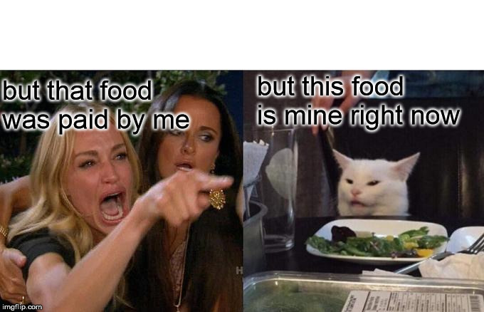 Woman Yelling At Cat Meme | but this food is mine right now; but that food was paid by me | image tagged in memes,woman yelling at cat | made w/ Imgflip meme maker