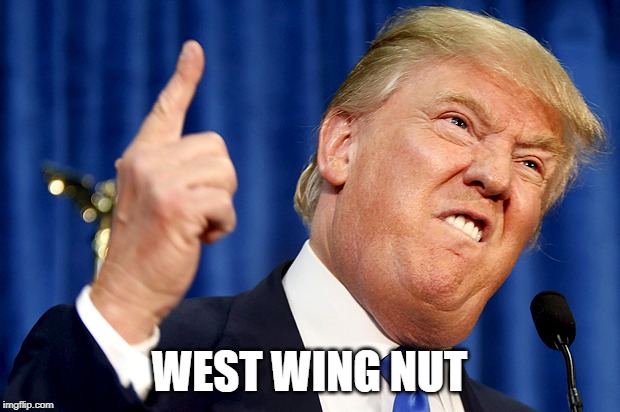 Donald Trump | WEST WING NUT | image tagged in donald trump | made w/ Imgflip meme maker