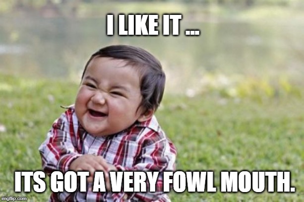 Evil Toddler Meme | I LIKE IT ... ITS GOT A VERY FOWL MOUTH. | image tagged in memes,evil toddler | made w/ Imgflip meme maker