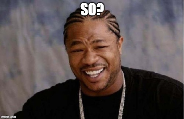 Yo Dawg Heard You Meme | SO? | image tagged in memes,yo dawg heard you | made w/ Imgflip meme maker