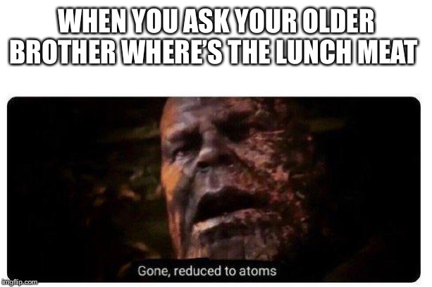 gone reduced to atoms | WHEN YOU ASK YOUR OLDER BROTHER WHERE’S THE LUNCH MEAT | image tagged in gone reduced to atoms | made w/ Imgflip meme maker