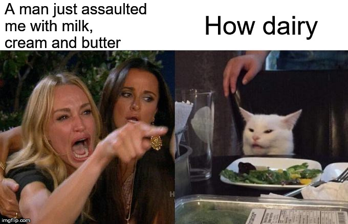 Woman Yelling At Cat | A man just assaulted me with milk,  cream and butter; How dairy | image tagged in memes,woman yelling at cat,dairy queen,milk,bad pun,the most interesting man in the world | made w/ Imgflip meme maker