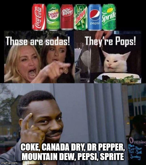 COKE, CANADA DRY, DR PEPPER, MOUNTAIN DEW, PEPSI, SPRITE | image tagged in coke,soda,meme | made w/ Imgflip meme maker