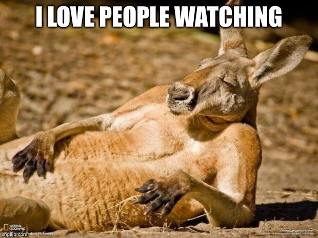 Chillin Kangaroo | I LOVE PEOPLE WATCHING | image tagged in chillin kangaroo | made w/ Imgflip meme maker