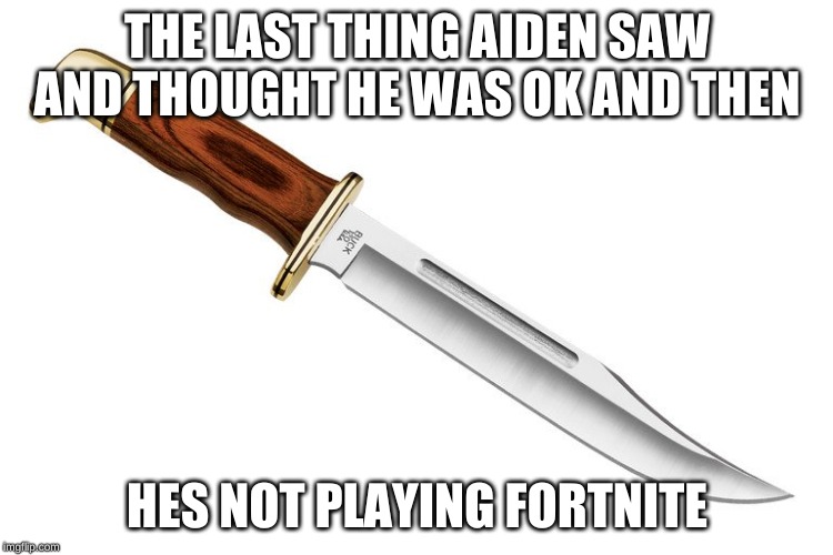 Hes not playing Fortnite | THE LAST THING AIDEN SAW AND THOUGHT HE WAS OK AND THEN; HES NOT PLAYING FORTNITE | image tagged in 10 guy | made w/ Imgflip meme maker