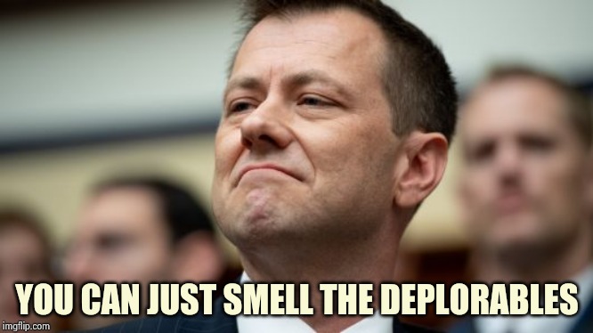 Peter Strzok | YOU CAN JUST SMELL THE DEPLORABLES | image tagged in peter strzok | made w/ Imgflip meme maker