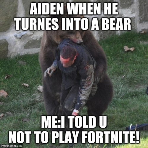 dont play fortnite | AIDEN WHEN HE TURNES INTO A BEAR; ME:I TOLD U NOT TO PLAY FORTNITE! | image tagged in fortnite | made w/ Imgflip meme maker