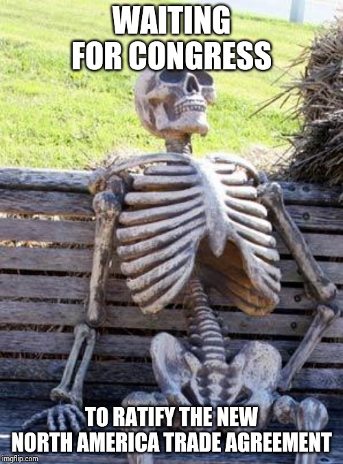Waiting Skeleton Meme | WAITING FOR CONGRESS TO RATIFY THE NEW NORTH AMERICA TRADE AGREEMENT | image tagged in memes,waiting skeleton | made w/ Imgflip meme maker