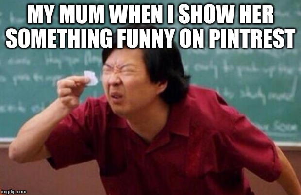 List of people I trust | MY MUM WHEN I SHOW HER SOMETHING FUNNY ON PINTREST | image tagged in list of people i trust | made w/ Imgflip meme maker