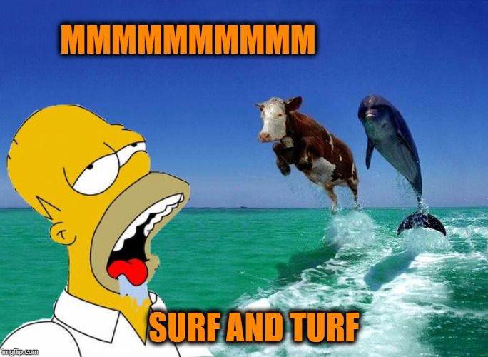 Drooling Homer | MMMMMMMMMM; SURF AND TURF | image tagged in funny memes,memes,homer simpson drooling,success dolphin | made w/ Imgflip meme maker