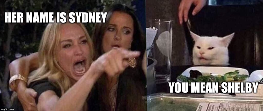 woman yelling at cat | HER NAME IS SYDNEY; YOU MEAN SHELBY | image tagged in woman yelling at cat | made w/ Imgflip meme maker