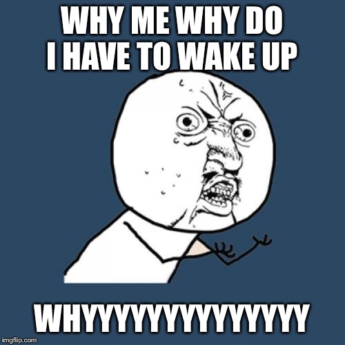 Y U No Meme | WHY ME WHY DO I HAVE TO WAKE UP; WHYYYYYYYYYYYYYY | image tagged in memes,y u no | made w/ Imgflip meme maker