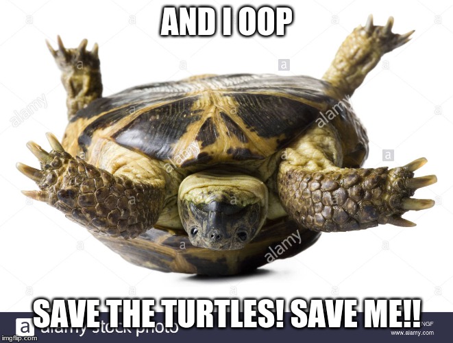 Save the Turtles... | AND I OOP; SAVE THE TURTLES! SAVE ME!! | image tagged in funny memes | made w/ Imgflip meme maker