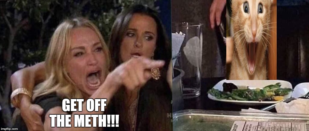 woman yelling at cat | GET OFF THE METH!!! | image tagged in woman yelling at cat | made w/ Imgflip meme maker