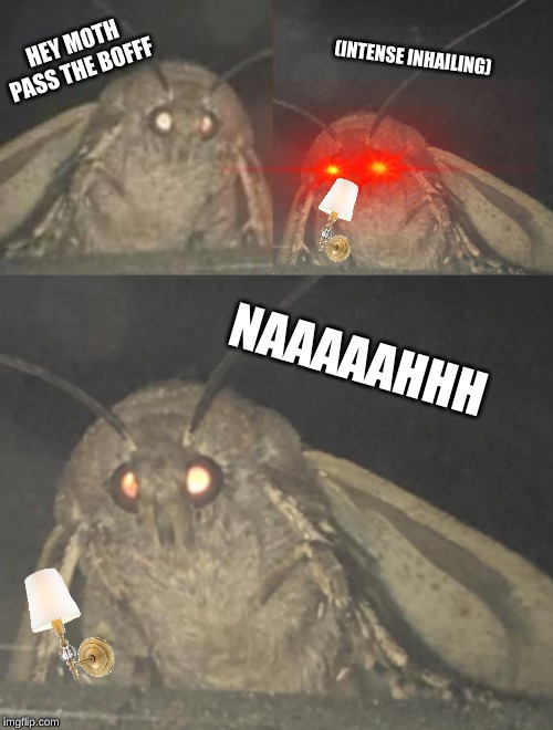 HEY MOTH PASS THE BOFFF; (INTENSE INHAILING); NAAAAAHHH | made w/ Imgflip meme maker
