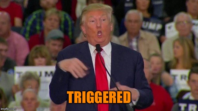 Trump Retard | TRIGGERED | image tagged in trump retard | made w/ Imgflip meme maker