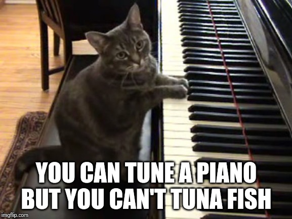 cat piano | YOU CAN TUNE A PIANO BUT YOU CAN'T TUNA FISH | image tagged in cat piano | made w/ Imgflip meme maker