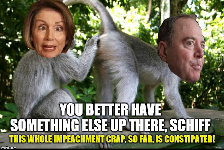 Nancy is digging for SOMETHING, ANYTHING! | YOU BETTER HAVE SOMETHING ELSE UP THERE, SCHIFF; THIS WHOLE IMPEACHMENT CRAP, SO FAR, IS CONSTIPATED! | image tagged in nancy pelosi and adam schiff,memes,funny memes,politics | made w/ Imgflip meme maker