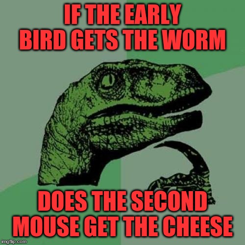Philosoraptor | IF THE EARLY BIRD GETS THE WORM; DOES THE SECOND MOUSE GET THE CHEESE | image tagged in memes,philosoraptor | made w/ Imgflip meme maker