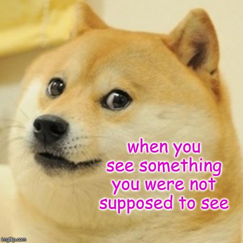 Doge | when you see something you were not supposed to see | image tagged in memes,doge | made w/ Imgflip meme maker