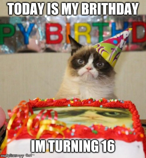 Grumpy Cat Birthday Meme | TODAY IS MY BRITHDAY; I'M TURNING 16 | image tagged in memes,grumpy cat birthday,grumpy cat | made w/ Imgflip meme maker