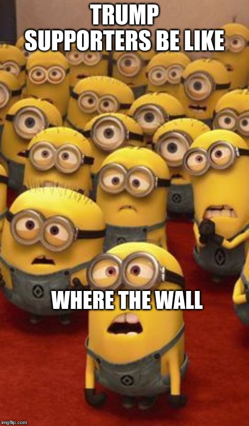 minions confused | TRUMP SUPPORTERS BE LIKE; WHERE THE WALL | image tagged in minions confused | made w/ Imgflip meme maker