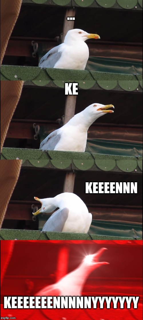 Inhaling Seagull Meme | ... KE; KEEEENNN; KEEEEEEENNNNNYYYYYYY | image tagged in memes,inhaling seagull | made w/ Imgflip meme maker